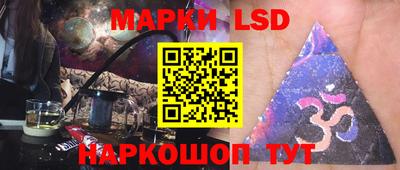 гидра Будённовск