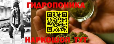 гидра Будённовск