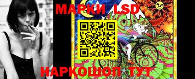 гидра Будённовск