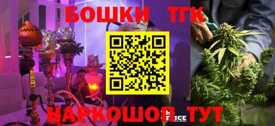 гидра Будённовск